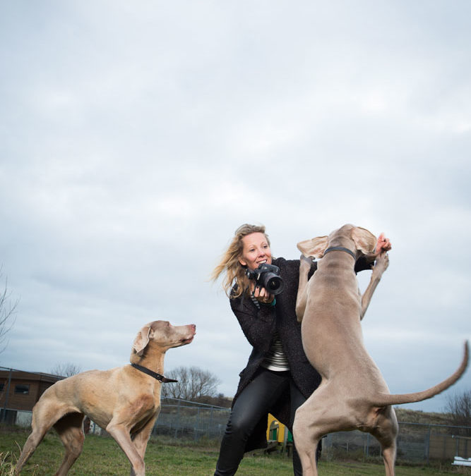 Meet Natasja Noordervliet | Perfect Pets Photography