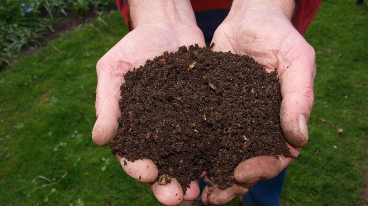 National Compost Day