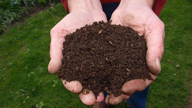 Collect Compost For Free | National Compost Day March 23rd
