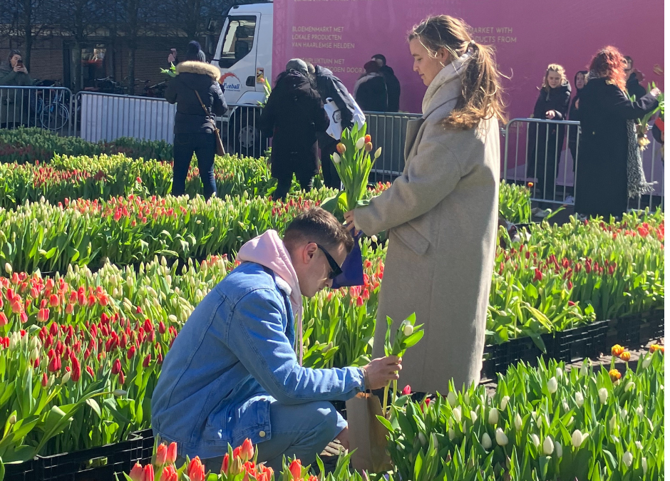 Spring Event | Pick Tulips at Grote Markt Haarlem