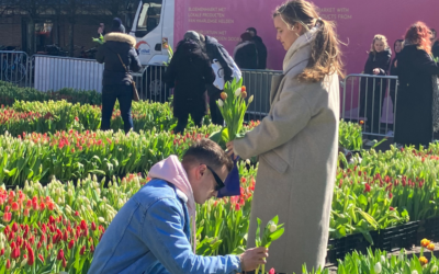 Spring Event | Pick Tulips at Grote Markt Haarlem